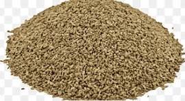 AJWAIN